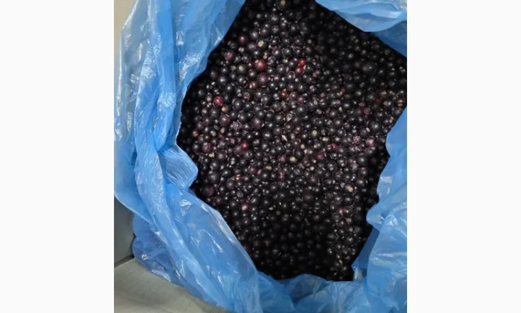 Смородина заморожена Б-клас - фото № 1