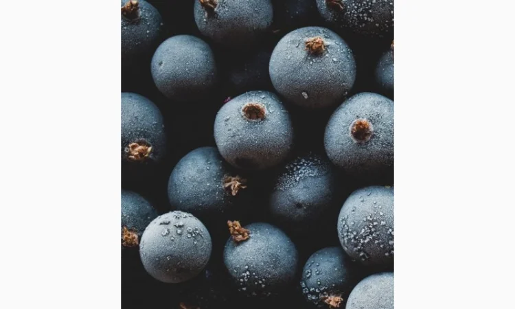 Закуповуємо заморожену чорну смородину - фото № 1