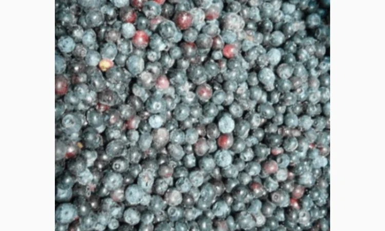 Куплю чорницю морожену по західній Україні, від 20т - фото № 1