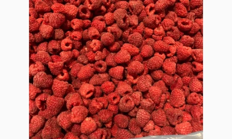 Продам чорницю заморожену - фото № 3