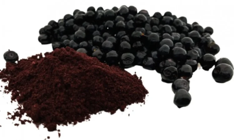 Продам порошок з чорниці - фото № 1