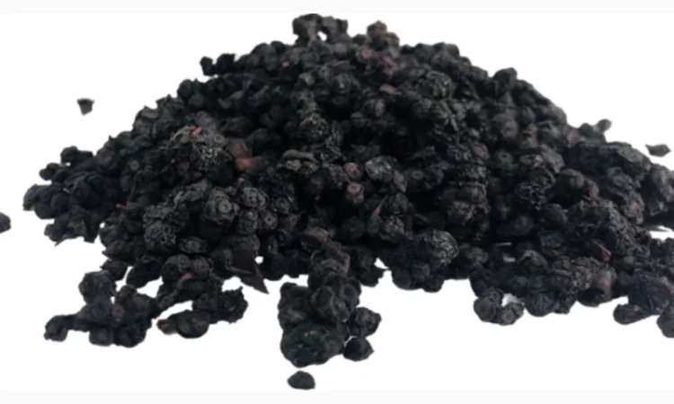 Продам сушену чорницю - фото № 1