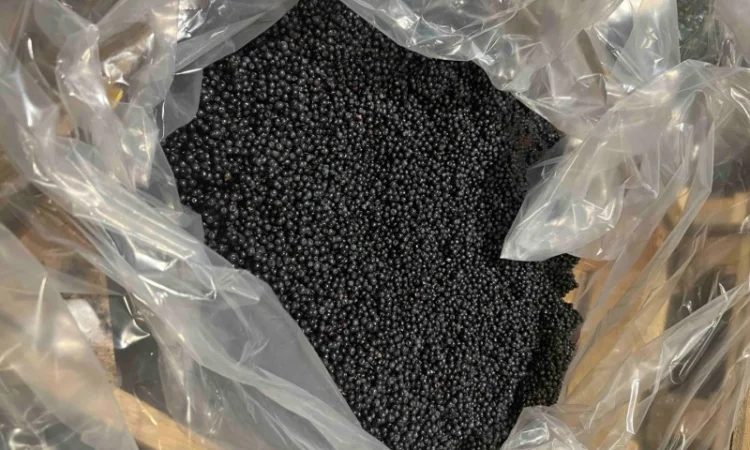 Чорниця заморожена - фото № 1