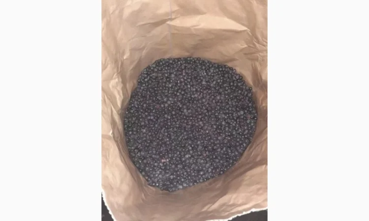 Продам заморожену чорницю від 5 т - фото № 1