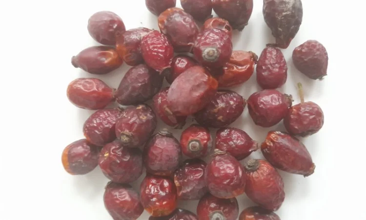 Шипшина сушена - фото № 1