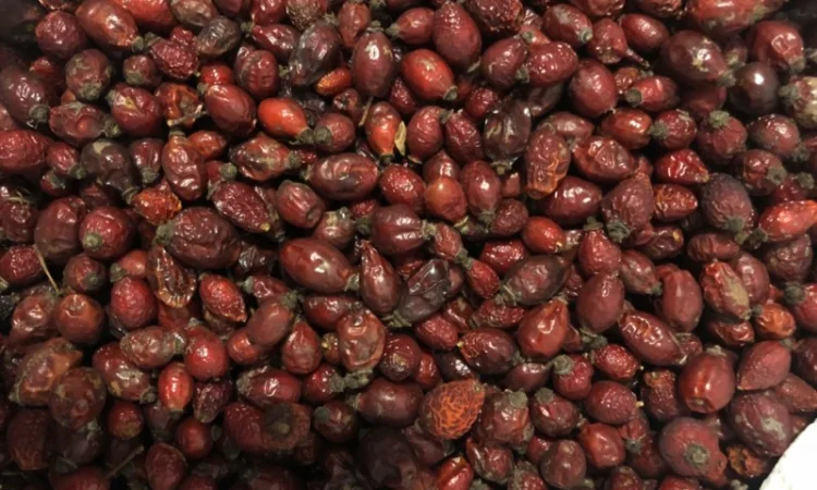 Продам якісну сушену шипшину - фото № 1