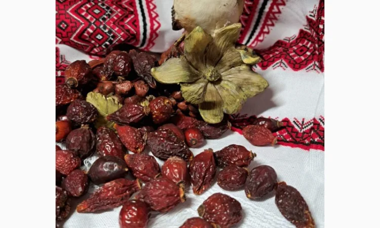 Продам шипшину відмінної якості, з сушарки, врожаю 2024року - фото № 1