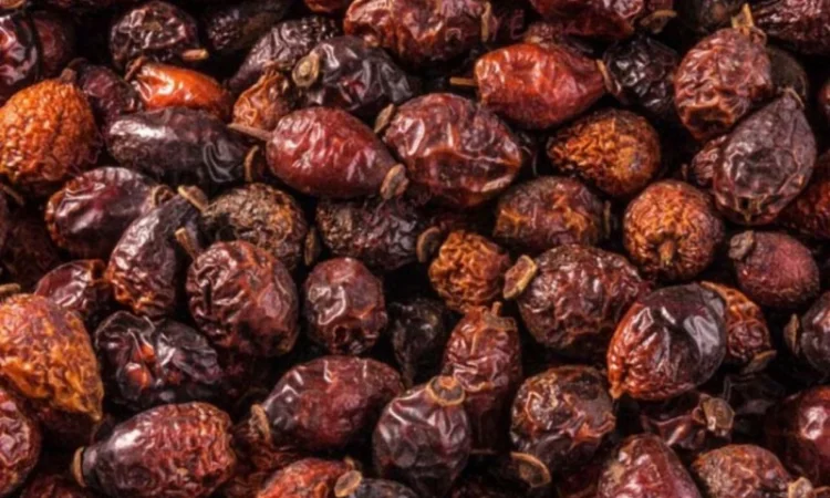 Продам шипшину сушену - фото № 1