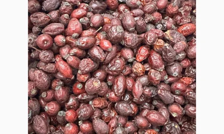 Продам шипшину суху - фото № 1