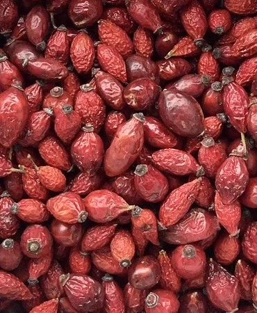 Шипшина - фото № 1