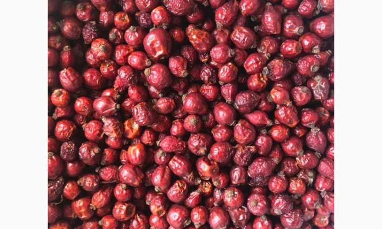 Продам шипшину - фото № 1