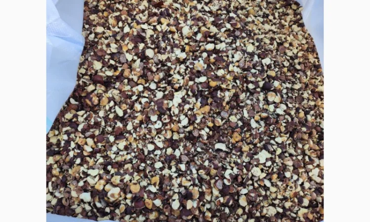 Продам каштан сухой, крупным оптом! Урожай 2024г партии 22 тонн - фото № 2