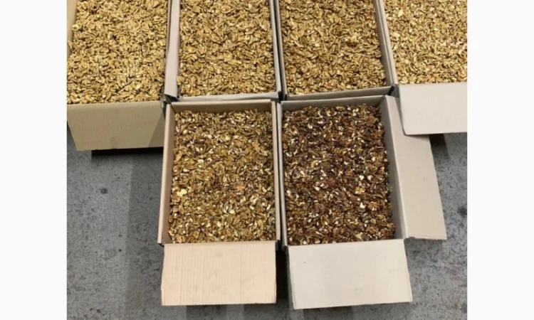 Продам ядро грецкого ореха оптом от 1т - фото № 4