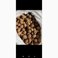 Горіх: ціна розмитненого на умовах FCA Україна від 20 тонн - фото № 9