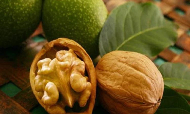 Продам грецкий орех бабочка светлая,  Украина - фото № 1