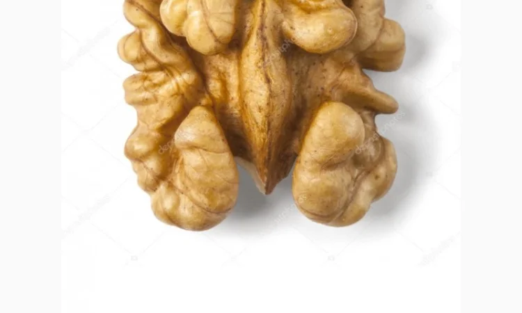 Куплю чищенный орех ВСЕ ФРАКЦИИ 2024 - фото № 1