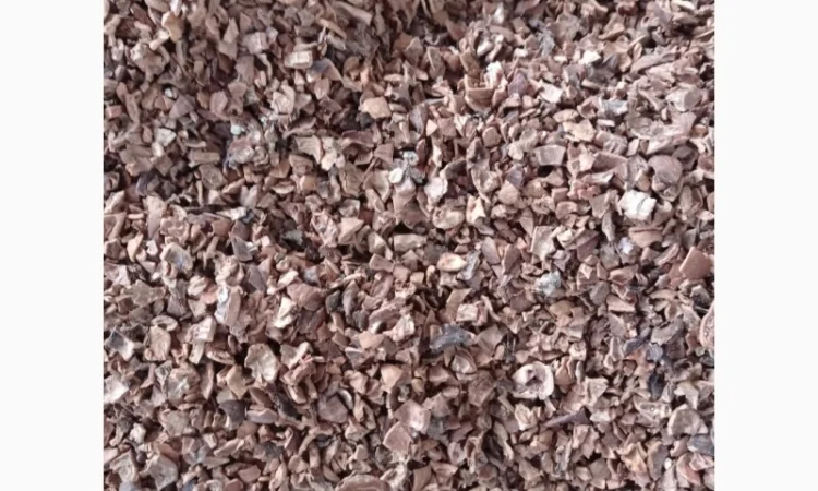 Покупаем скорлупу грецкого ореха - фото № 1