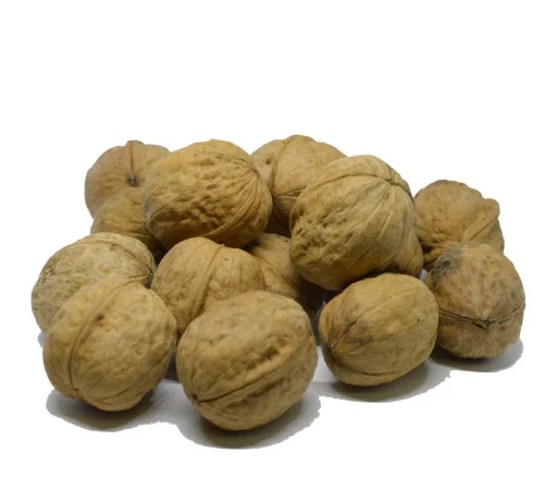 Продам цілий волоський горіх опт 2024 - фото № 1