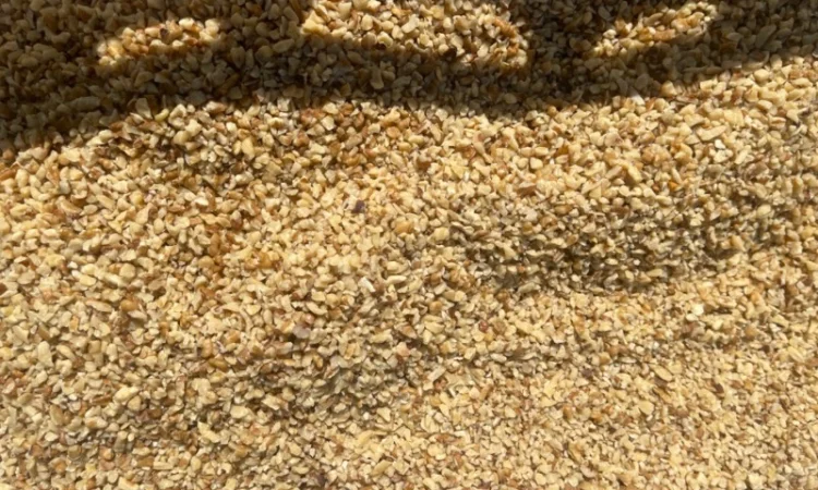 Продам крошку размер 3-5, 5-8 - фото № 1