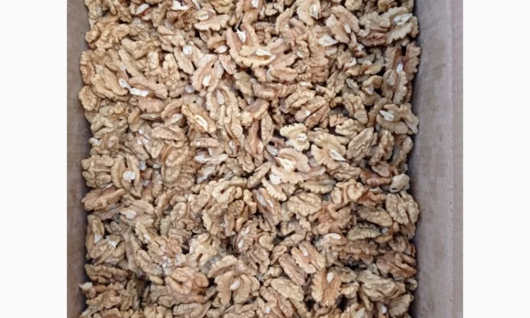 Продам грецкий орех - фото № 1