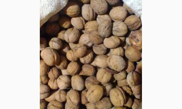 Куплю орех - фото № 1