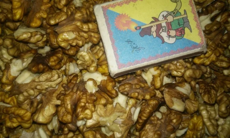 Продам горіхи волоські - фото № 2