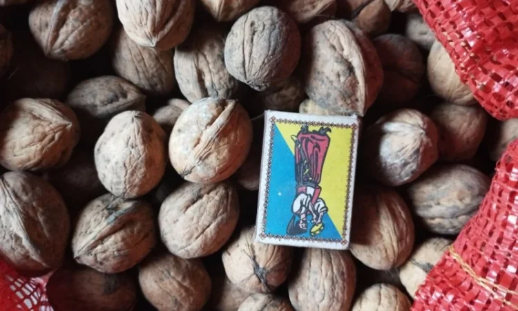 Продам горіхи волоські - фото № 1