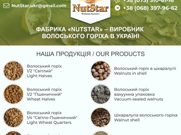 Волоський горіх від виробника на експорт, 1/2, 1/4, ядро, мікс, fca - фото № 4