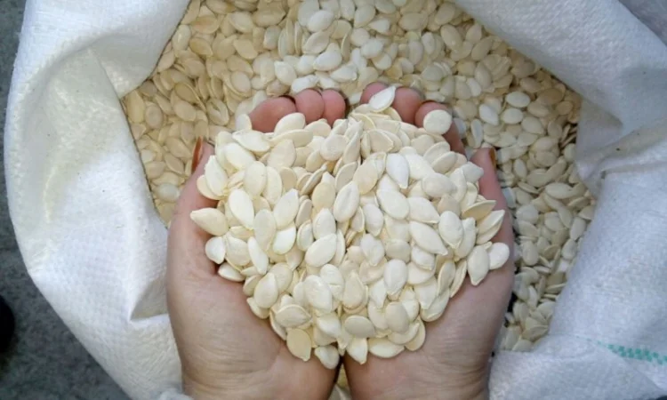 Куплю грецкий орех и тыквенные семечки - фото № 1