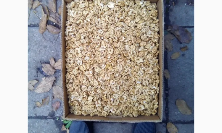 Продам ядро грецкого ореха - фото № 1