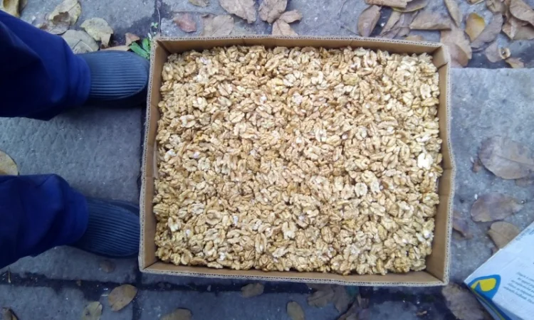 Продам ядро грецкого ореха - фото № 2