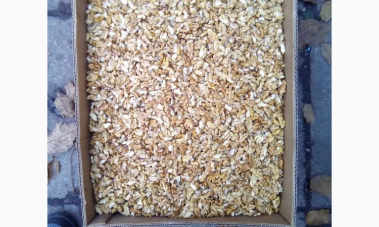 Продам ядро грецкого ореха - фото № 5