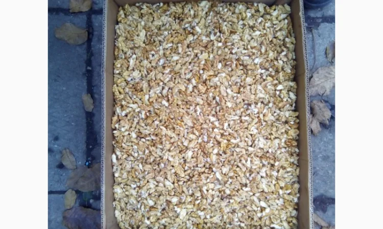 Продам ядро грецкого ореха - фото № 6