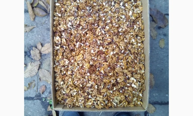 Продам ядро грецкого ореха - фото № 7