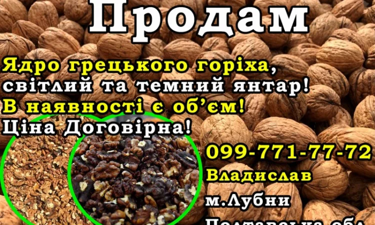 Продам ядро грецького горіха (янтар/темний янтар) Ціна Договірна! Є обєм - фото № 1