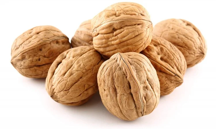 Реалізую митий та калібрований кругляк грецького Горіха - фото № 1