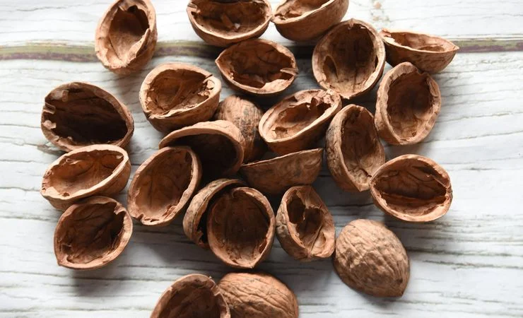 Продам скорлупу Грецького горіха. 150 т. 4 - фото № 1