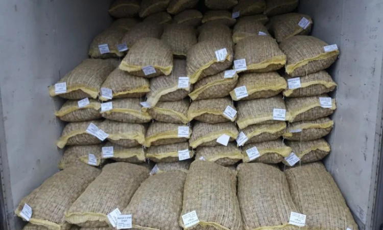 Куплю цілий грецький горіх - фото № 1