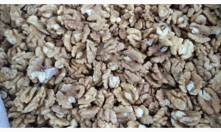 Продам ядро грецького горіха(відсів, сушка, янтарний, світлий 1/4, 1/2) - фото № 2