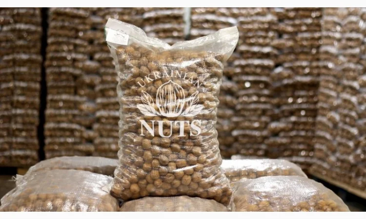 Продам грецький горіх кругляк на Експорт - фото № 2