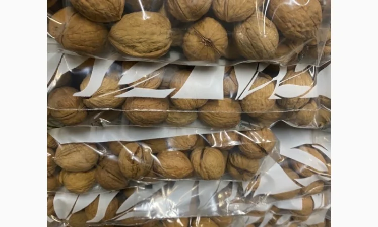 Продам грецький горіх кругляк на Експорт - фото № 3