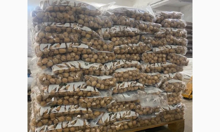 Продам грецький горіх кругляк на Експорт - фото № 4