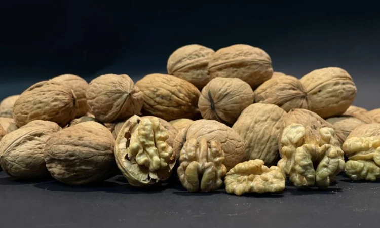 Ядро волоського горіха - фото № 1