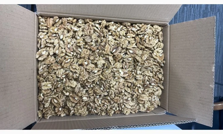 Ядро волоського горіха - фото № 2