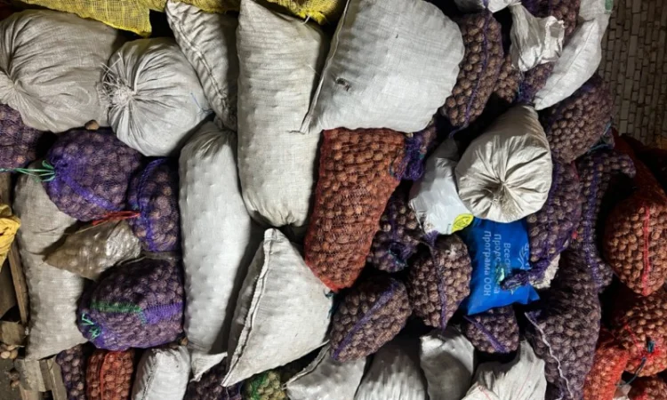 Горіх в шкарлупі - фото № 1