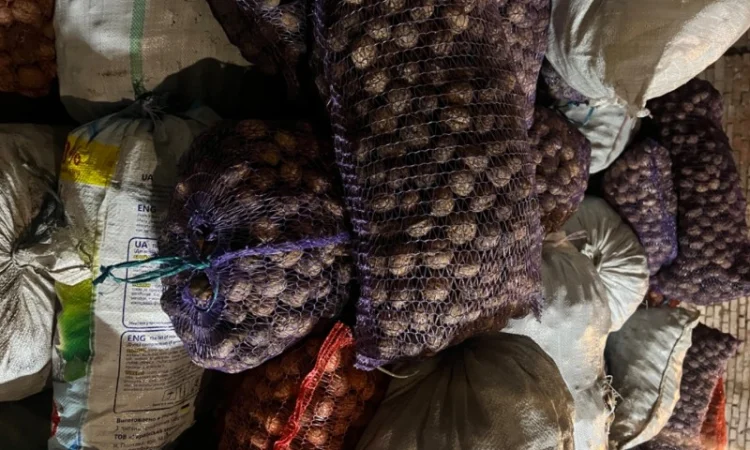 Горіх в шкарлупі - фото № 2