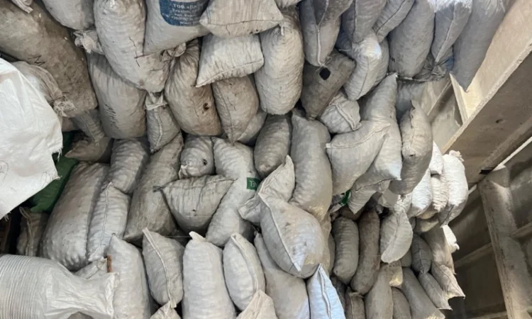 Горіх в шкарлупі - фото № 5