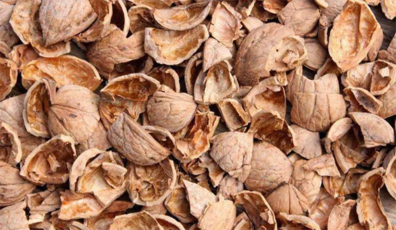 Продам шкаралупу волоського горіху - фото № 1