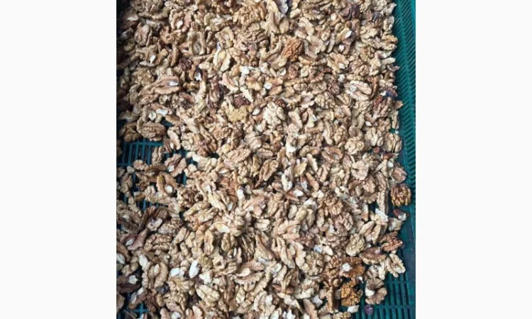 Куплю горіх(гурт) - фото № 2