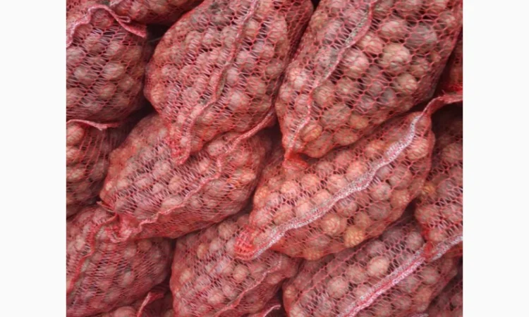 Продам горіхи - фото № 2